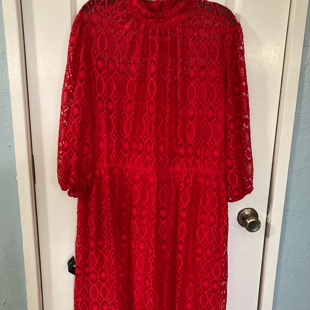 NWT lane Bryant dress